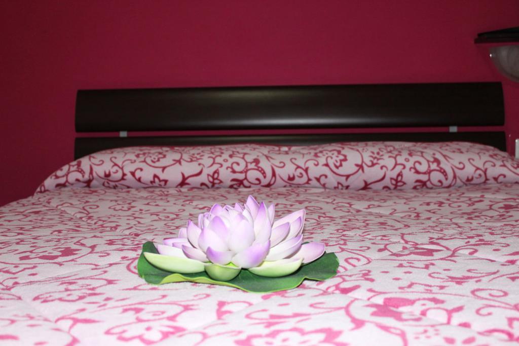 Bed and Breakfast Aracoeli Рим Екстер'єр фото